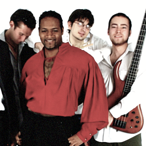 David Perry Band